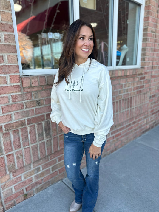 Winter Wonderland Sweatshirt